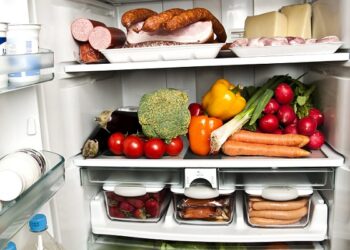 Як правильно зберігати продукти в холодильнику, щоб вони довше залишалися свіжими